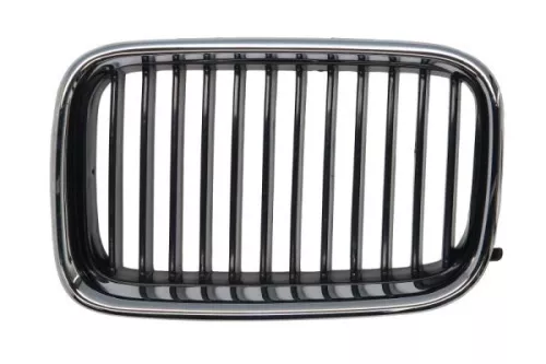 Radiator Grille