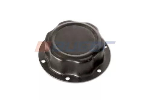 Cap, wheel bearing