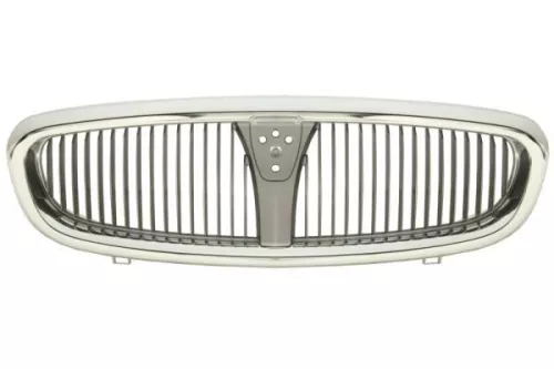 Radiator Grille