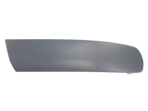 Trim/Protection Strip, bumper