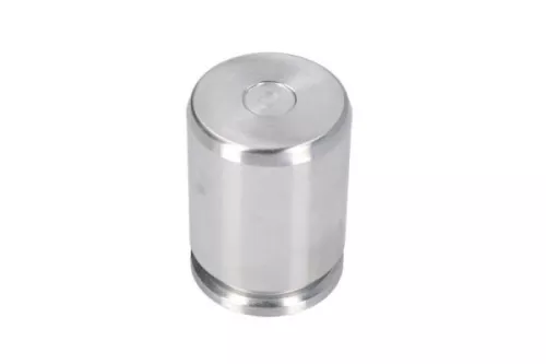 Piston, brake caliper