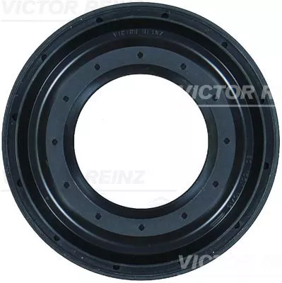 Shaft Seal, differential