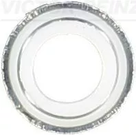 Seal Ring, valve stem