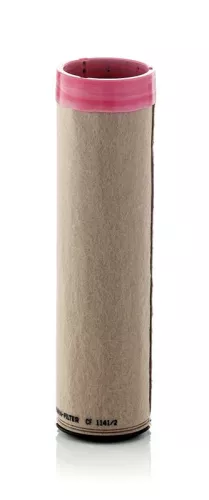 Secondary Air Filter