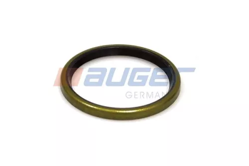 Seal Ring, steering knuckle