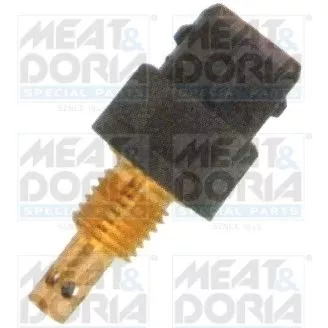 Sensor, intake air temperature