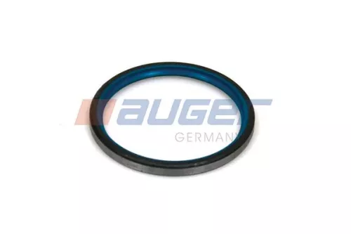 Seal Ring, steering knuckle