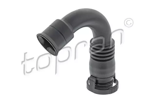 Hose, cylinder head cover ventilation