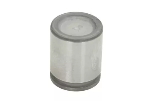 Piston, brake caliper