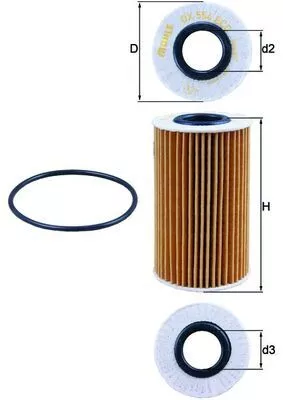 Oil Filter