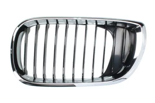 Radiator Grille