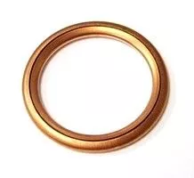 Seal Ring