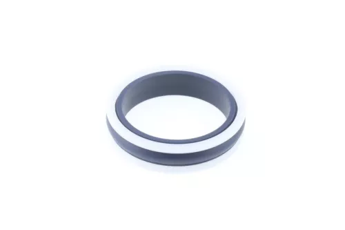 Seal Ring