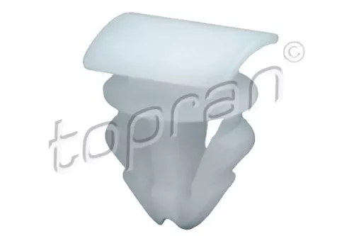 Clip, trim/protection strip