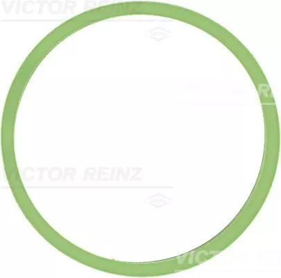 Gasket, intake manifold