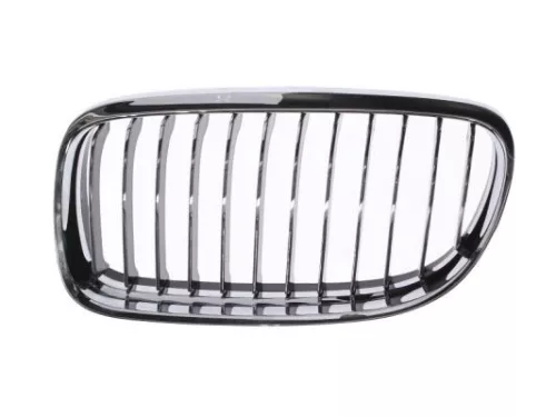Radiator Grille