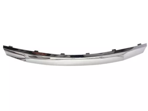 Trim/Protection Strip, radiator grille