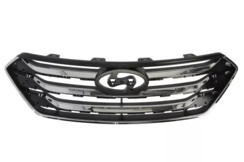 Radiator Grille