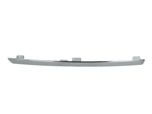 Trim/Protection Strip, bumper