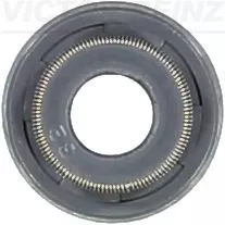 Seal Ring, valve stem