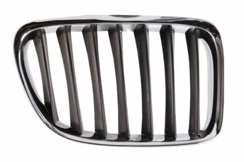 Radiator Grille