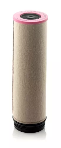 Secondary Air Filter