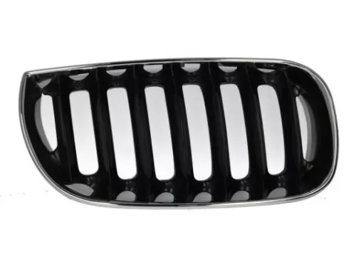 Radiator Grille