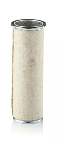 Secondary Air Filter