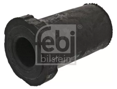 Bushing, leaf spring