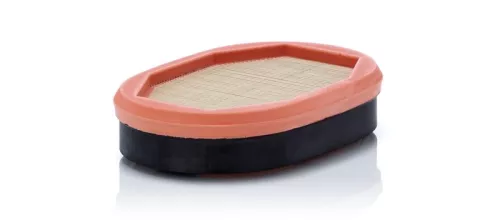 Secondary Air Filter