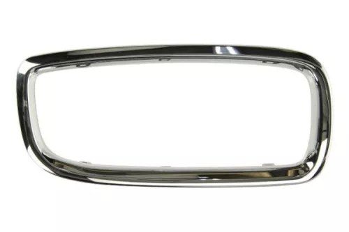 Trim/Protection Strip, radiator grille