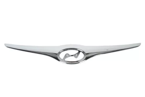 Trim/Protection Strip, radiator grille