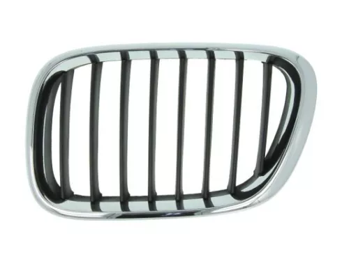 Radiator Grille