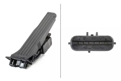 Sensor, accelerator pedal position