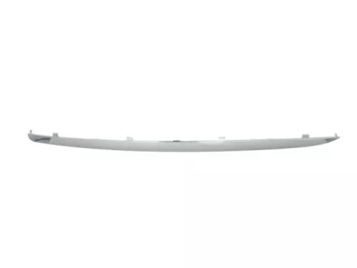 Trim/Protection Strip, bumper