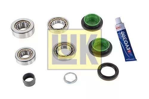 Repair Kit, differential