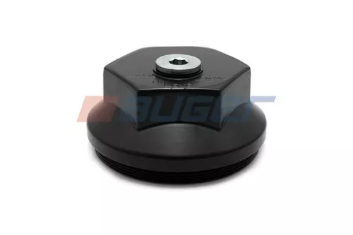 Cap, wheel bearing