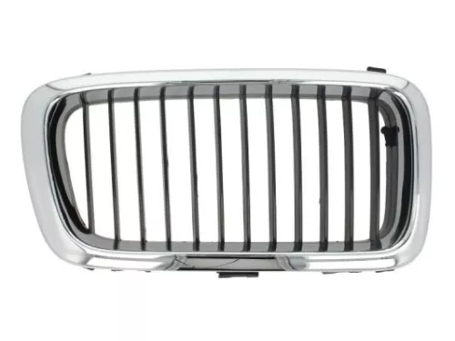 Radiator Grille