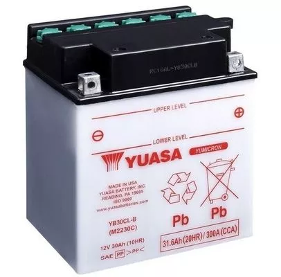 Starter Battery