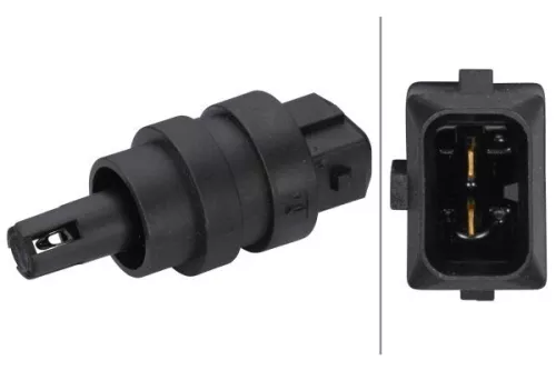 Sensor, intake air temperature