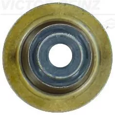 Seal Ring, valve stem