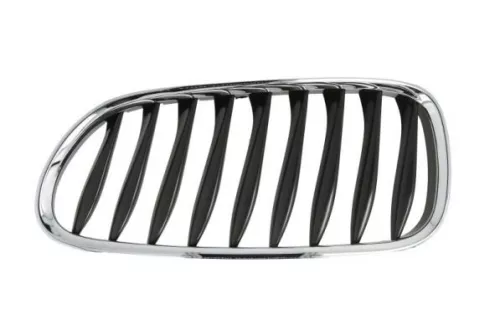 Radiator Grille