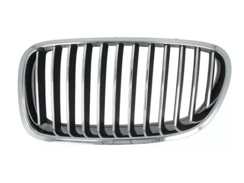 Radiator Grille