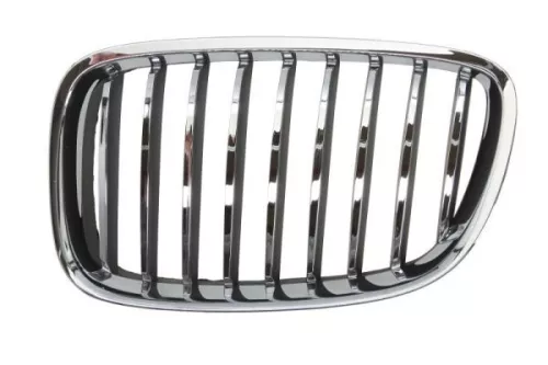 Radiator Grille
