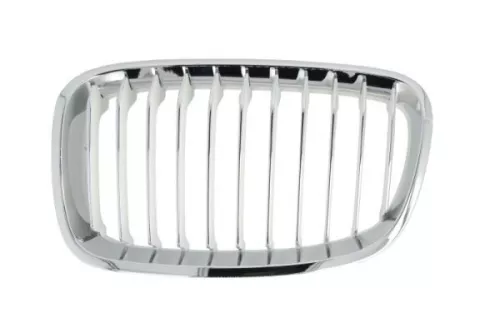 Radiator Grille