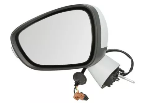 Exterior Mirror