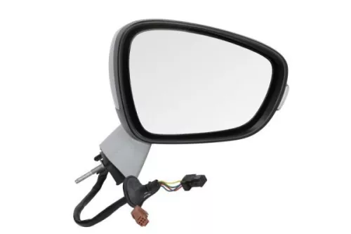 Exterior Mirror