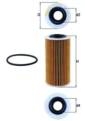 Oil Filter