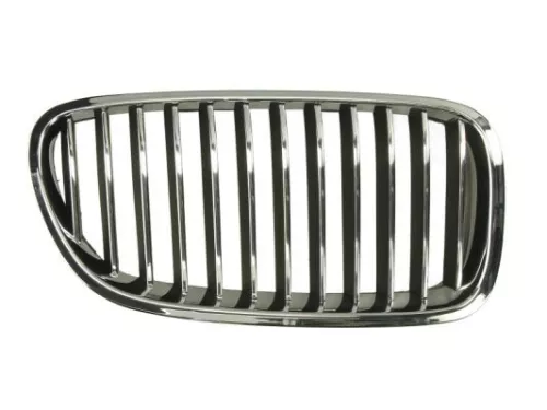 Radiator Grille
