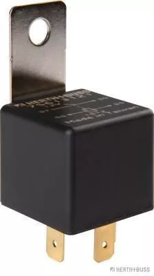 Multifunctional Relay